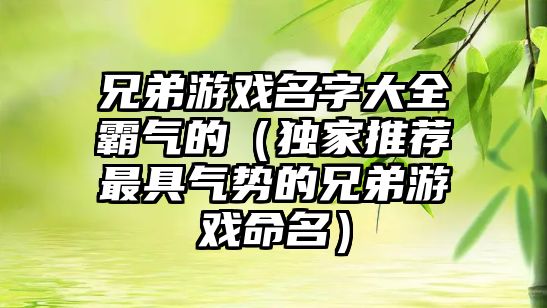 兄弟游戏名字大全霸气的（独家推荐最具气势的兄弟游戏命名）