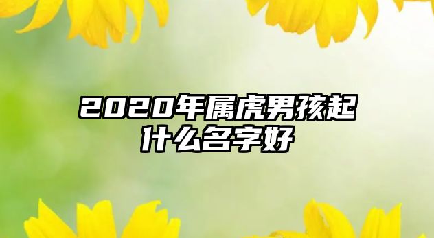 2020年属虎男孩起什么名字好