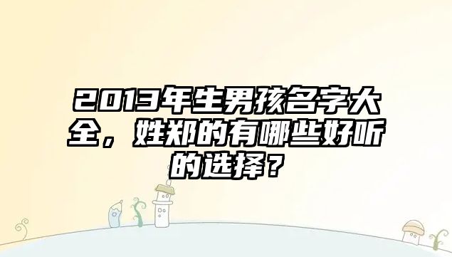 2013年生男孩名字大全，姓郑的有哪些好听的选择？