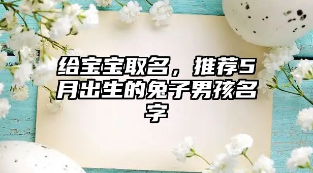 给宝宝取名，推荐5月出生的兔子男孩名字