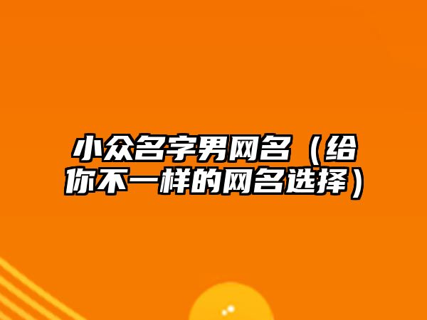 小众名字男网名（给你不一样的网名选择）