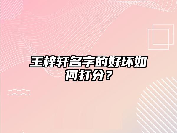 王梓轩名字的好坏如何打分？