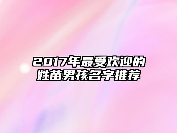 2017年最受欢迎的姓苗男孩名字推荐