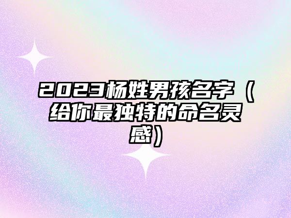 2023杨姓男孩名字（给你最独特的命名灵感）