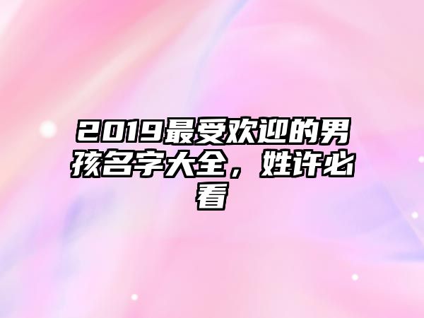 2019最受欢迎的男孩名字大全，姓许必看