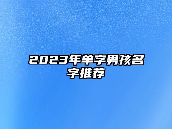 2023年单字男孩名字推荐