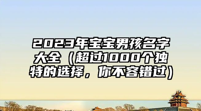 2023年宝宝男孩名字大全（超过1000个独特的选择，你不容错过）