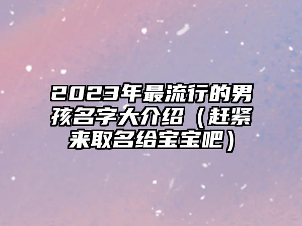 2023年最流行的男孩名字大介绍（赶紧来取名给宝宝吧）