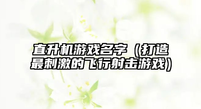 直升机游戏名字（打造最刺激的飞行射击游戏）