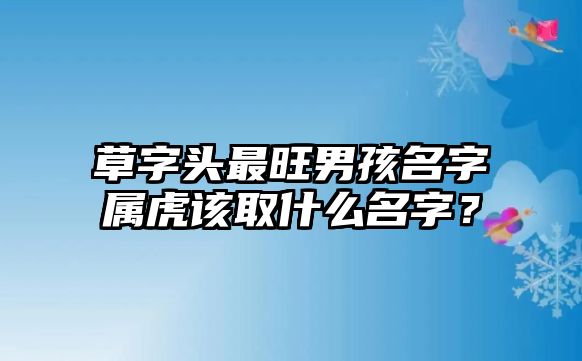 草字头最旺男孩名字属虎该取什么名字？