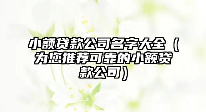 小额贷款公司名字大全（为您推荐可靠的小额贷款公司）