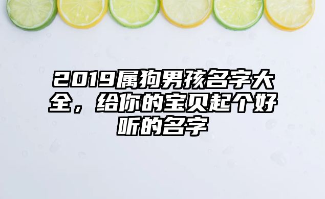 2019属狗男孩名字大全，给你的宝贝起个好听的名字