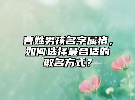 曹姓男孩名字属猪，如何选择最合适的取名方式？