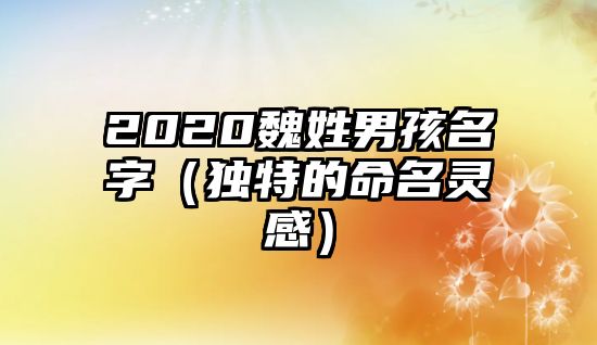 2020魏姓男孩名字（独特的命名灵感）