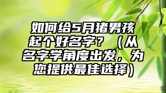 如何给5月猪男孩起个好名字？（从名字学角度出发，为您提供最佳选择）