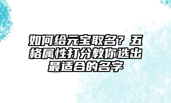 如何给元宝取名？五格属性打分教你选出最适合的名字