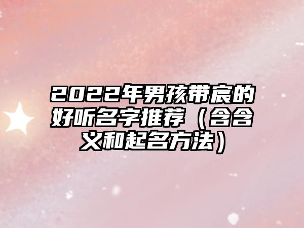 2022年男孩带宸的好听名字推荐（含含义和起名方法）