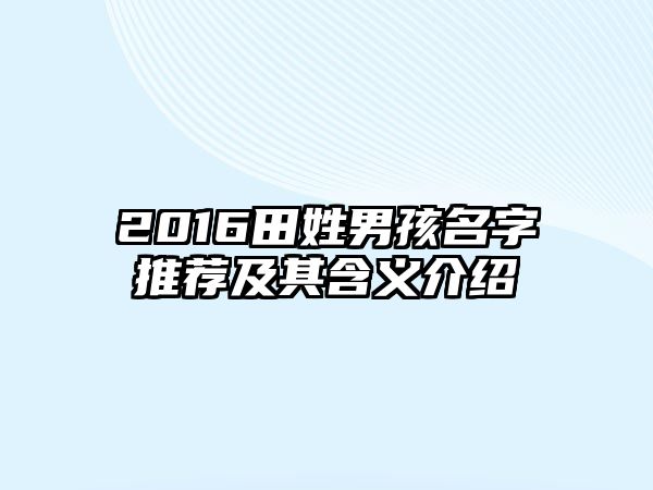 2016田姓男孩名字推荐及其含义介绍