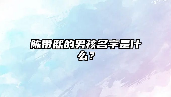 陈带熙的男孩名字是什么？