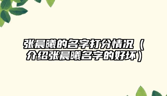 张晨曦的名字打分情况（介绍张晨曦名字的好坏）