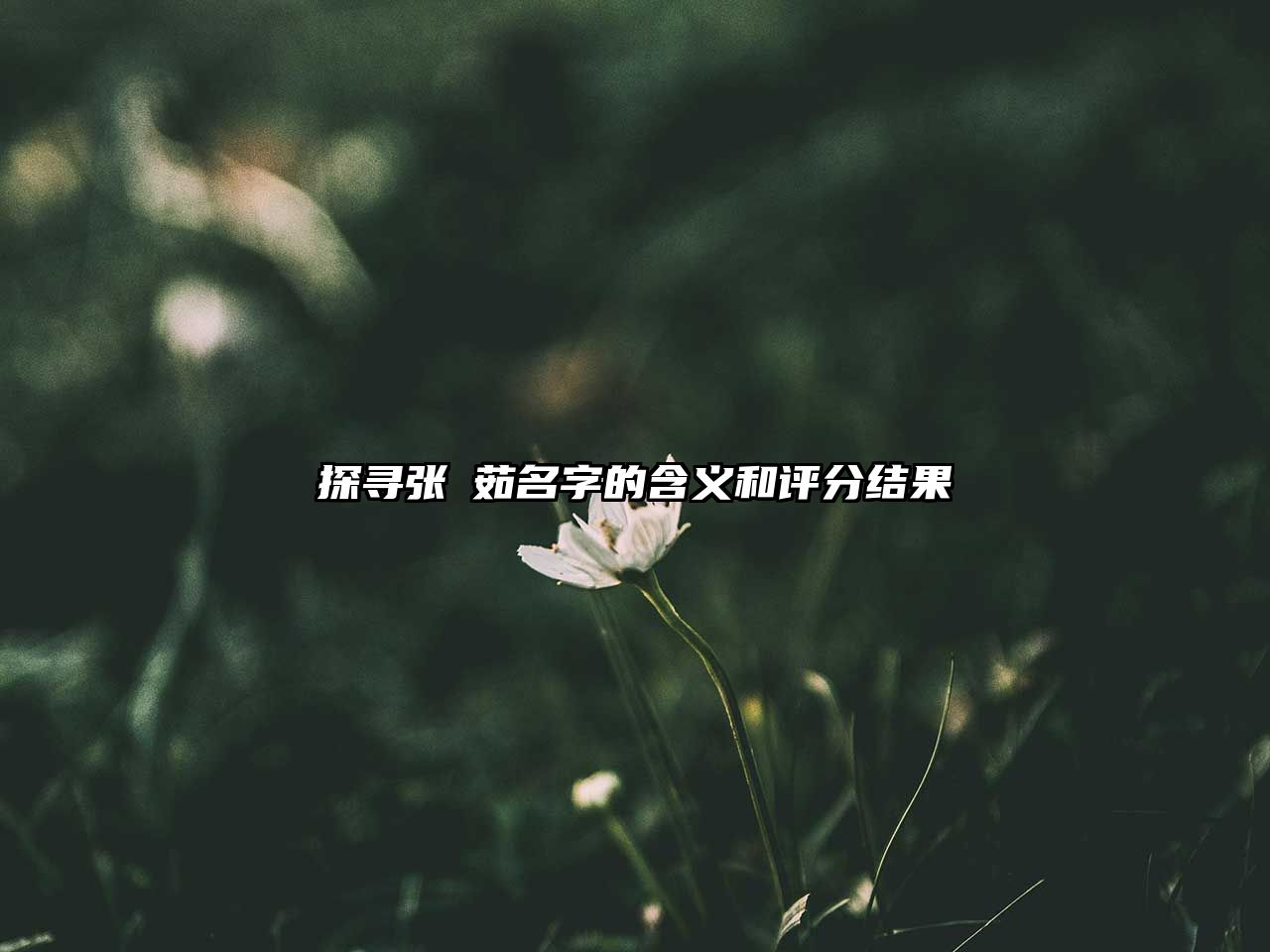 探寻张玥茹名字的含义和评分结果