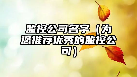 监控公司名字（为您推荐优秀的监控公司）