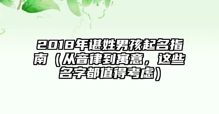 2018年谌姓男孩起名指南（从音律到寓意，这些名字都值得考虑）