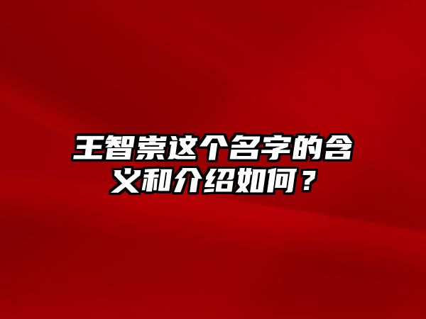 王智崇这个名字的含义和介绍如何？