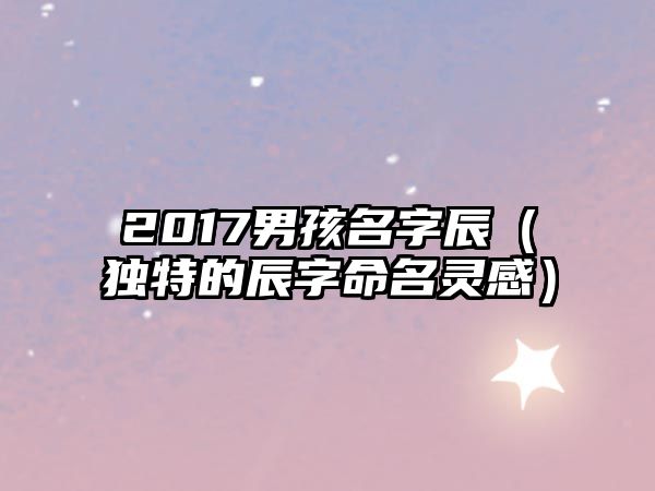 2017男孩名字辰（独特的辰字命名灵感）