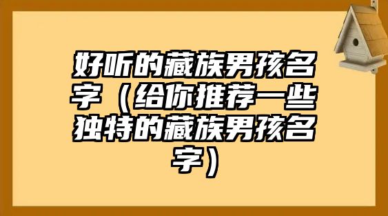 好听的藏族男孩名字（给你推荐一些独特的藏族男孩名字）