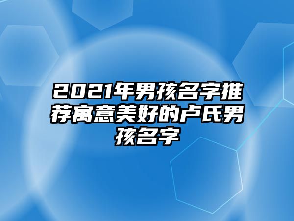 2021年男孩名字推荐寓意美好的卢氏男孩名字