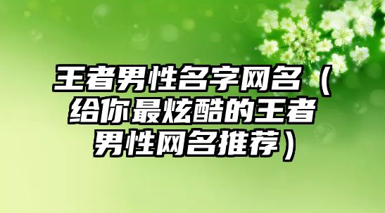 王者男性名字网名（给你最炫酷的王者男性网名推荐）