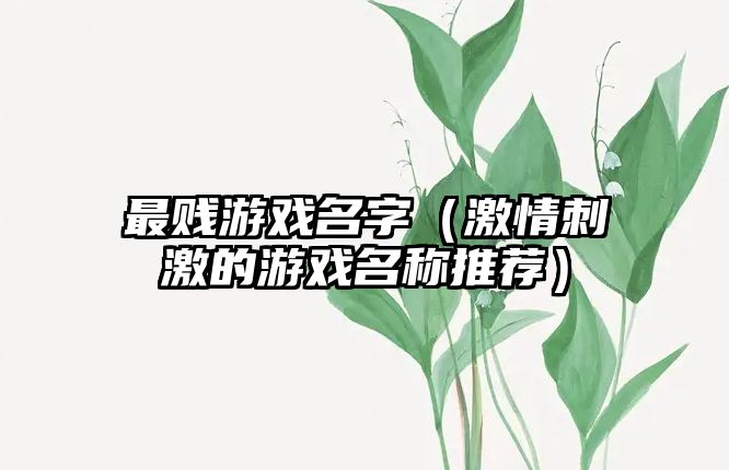 最贱游戏名字（激情刺激的游戏名称推荐）