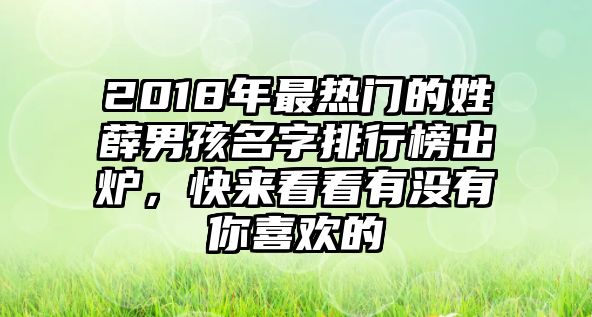 2018年最热门的姓薛男孩名字排行榜出炉，快来看看有没有你喜欢的