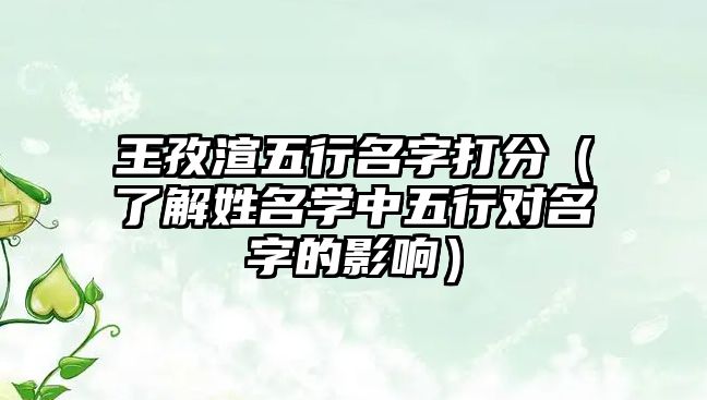 王孜渲五行名字打分（了解姓名学中五行对名字的影响）