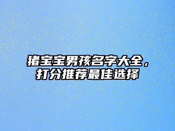 猪宝宝男孩名字大全，打分推荐最佳选择