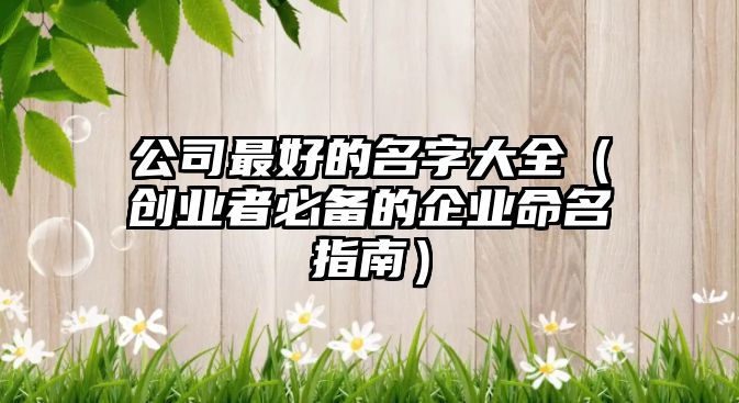 公司最好的名字大全（创业者必备的企业命名指南）