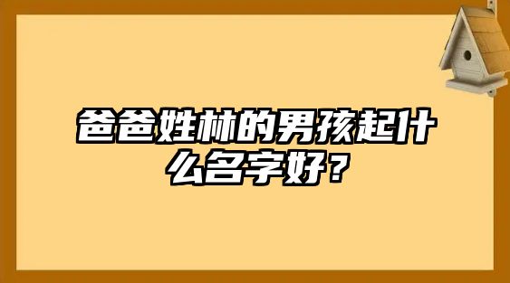 爸爸姓林的男孩起什么名字好？