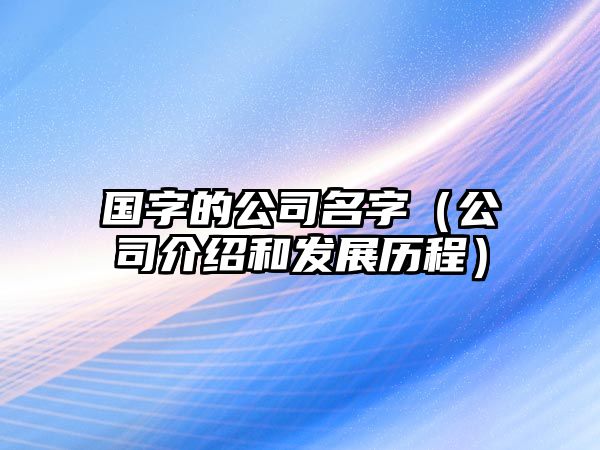 国字的公司名字（公司介绍和发展历程）