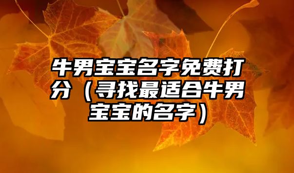 牛男宝宝名字免费打分（寻找最适合牛男宝宝的名字）