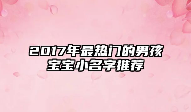 2017年最热门的男孩宝宝小名字推荐