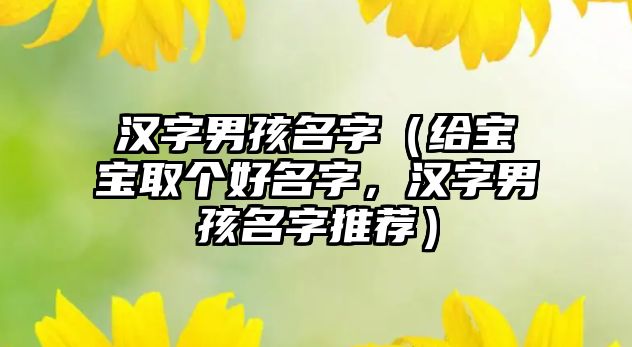 汉字男孩名字（给宝宝取个好名字，汉字男孩名字推荐）