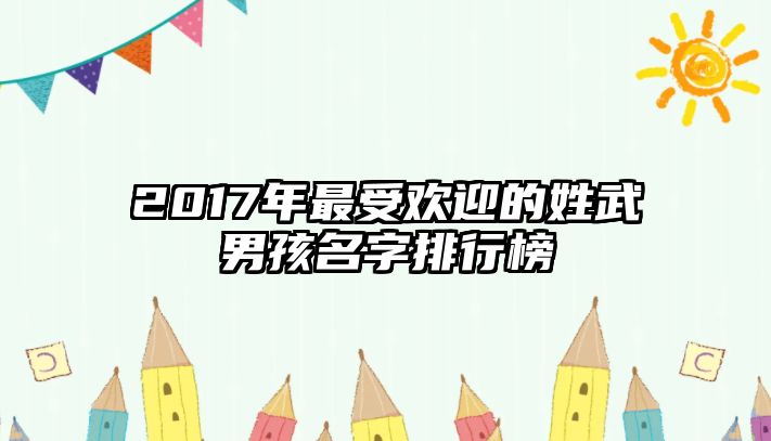 2017年最受欢迎的姓武男孩名字排行榜