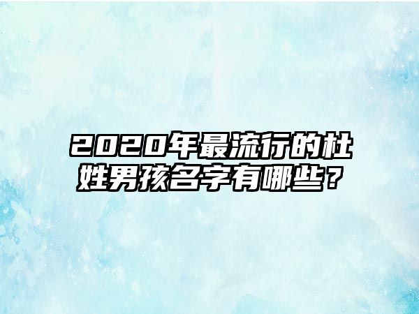 2020年最流行的杜姓男孩名字有哪些？