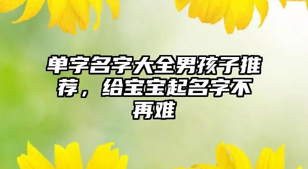 单字名字大全男孩子推荐，给宝宝起名字不再难