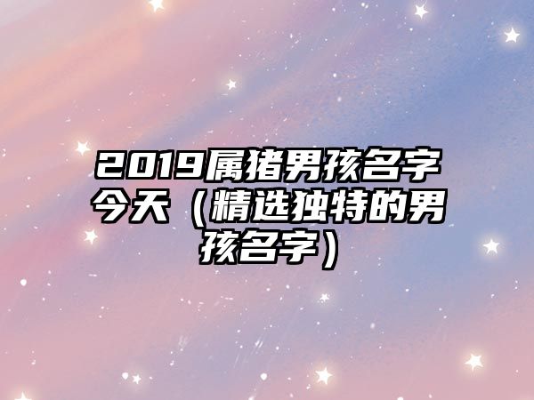 2019属猪男孩名字今天（精选独特的男孩名字）