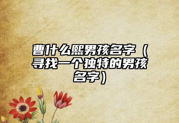 曹什么熙男孩名字（寻找一个独特的男孩名字）