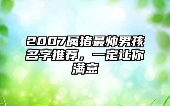 2007属猪最帅男孩名字推荐，一定让你满意