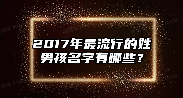 2017年最流行的姓男孩名字有哪些？