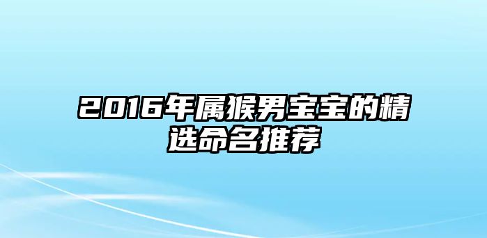 2016年属猴男宝宝的精选命名推荐